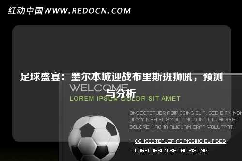 足球盛宴：墨尔本城迎战布里斯班狮吼，预测与分析