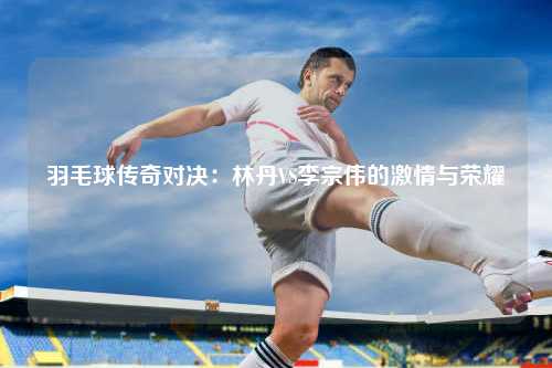 羽毛球传奇对决：林丹VS李宗伟的激情与荣耀