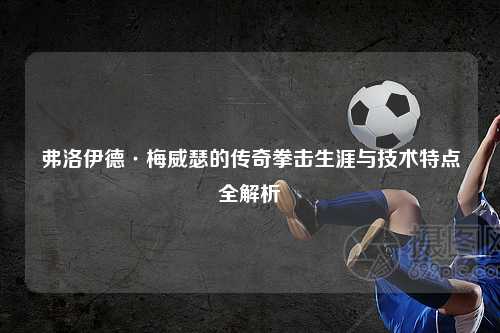 弗洛伊德·梅威瑟的传奇拳击生涯与技术特点全解析