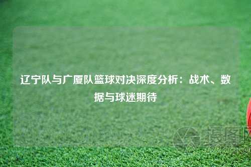 辽宁队与广厦队篮球对决深度分析：战术、数据与球迷期待