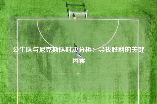 公牛队与尼克斯队对决分析：寻找胜利的关键因素